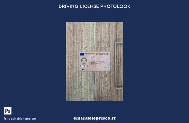 modello di patente di guida bulgara stile verificato ( presente) photolook FRONT